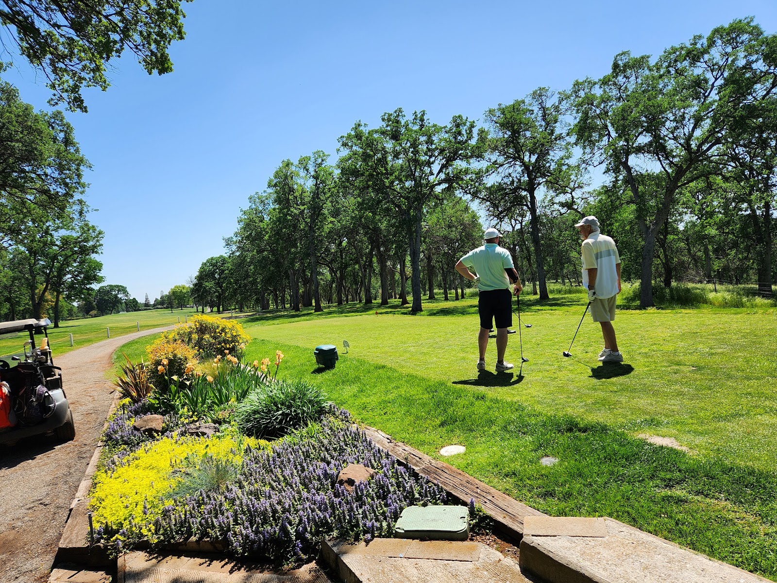 Wilcox Oaks Golf Club - Golf Course