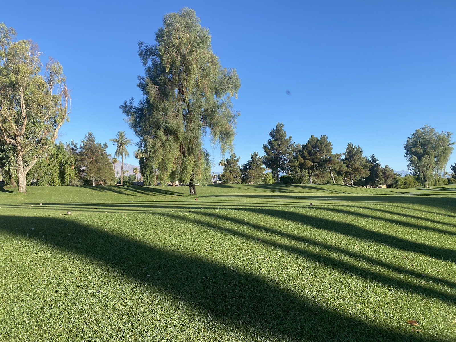 Desert Island Country Club - Golf Course