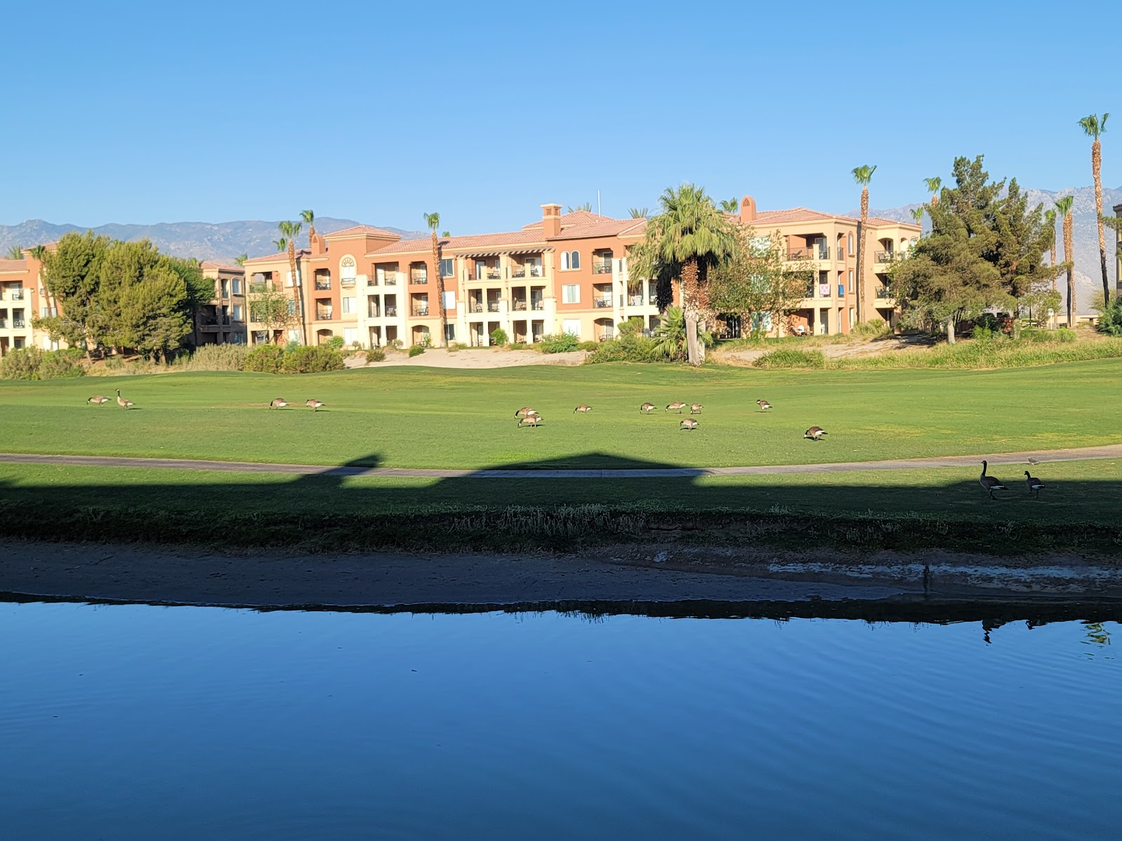 Marriott's Shadow Ridge Golf Club - Golf Course