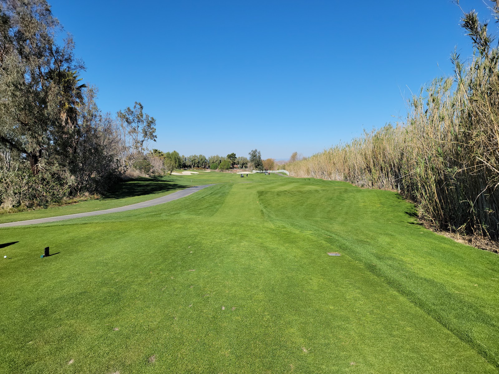 Goose Creek Golf Club - Golf Course