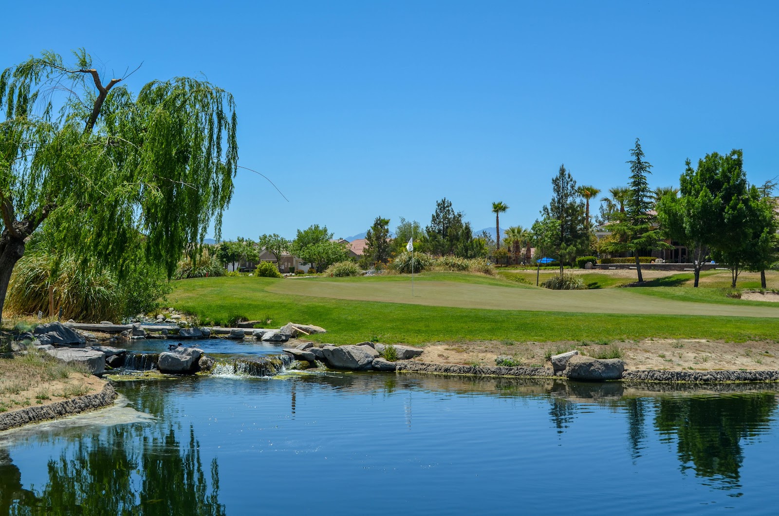 Ashwood Golf Course & Grill - Golf Course