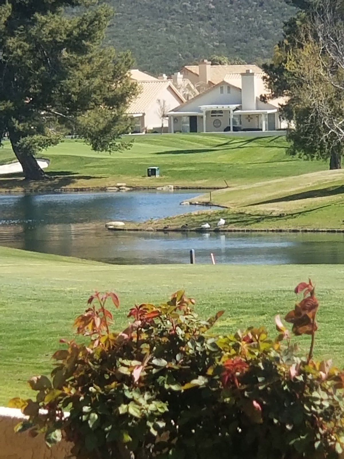 Sun Lakes Country Club North Clubhouse - Golf Course