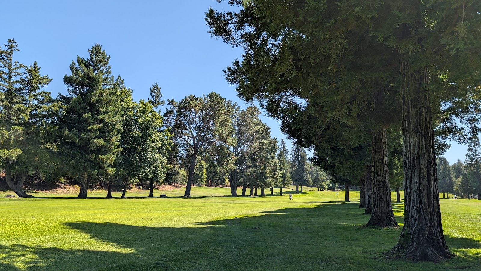 Blackberry Farm Golf Course