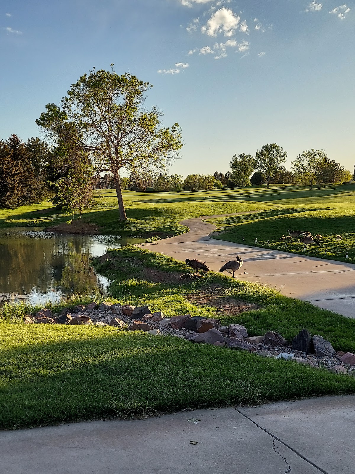 Links Golf Course - Golf Course