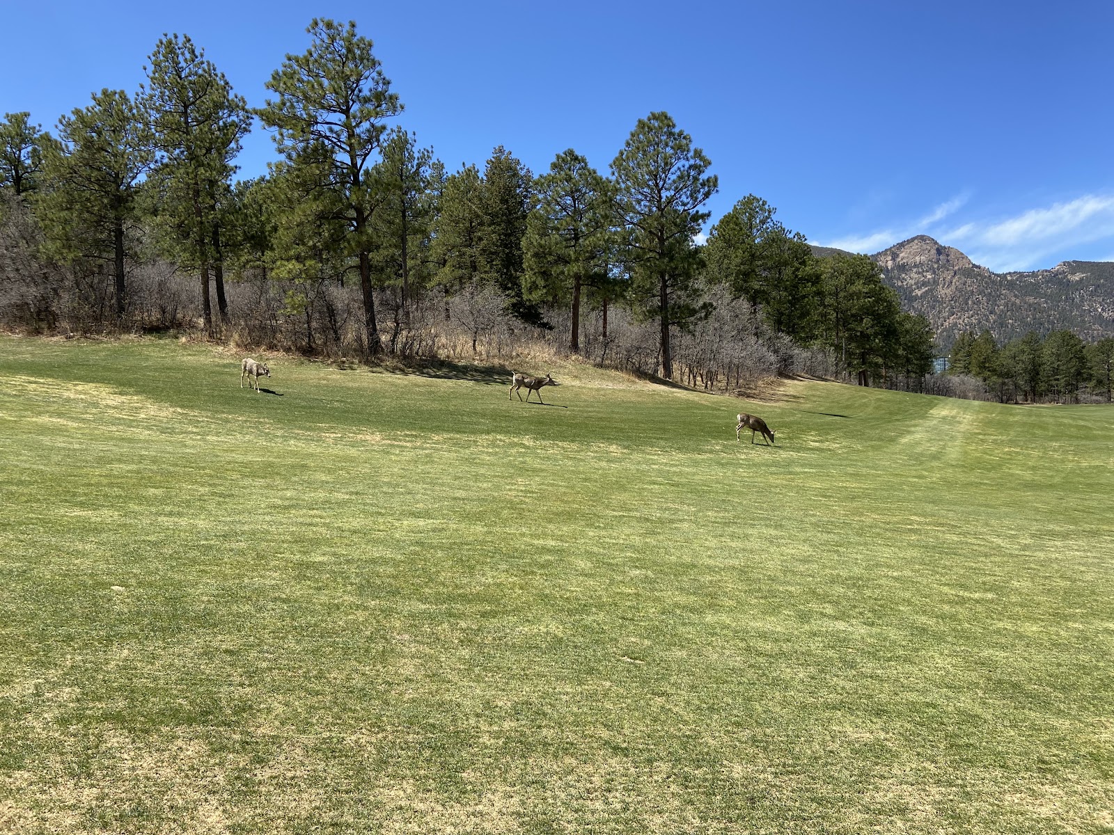 Eisenhower Golf Course