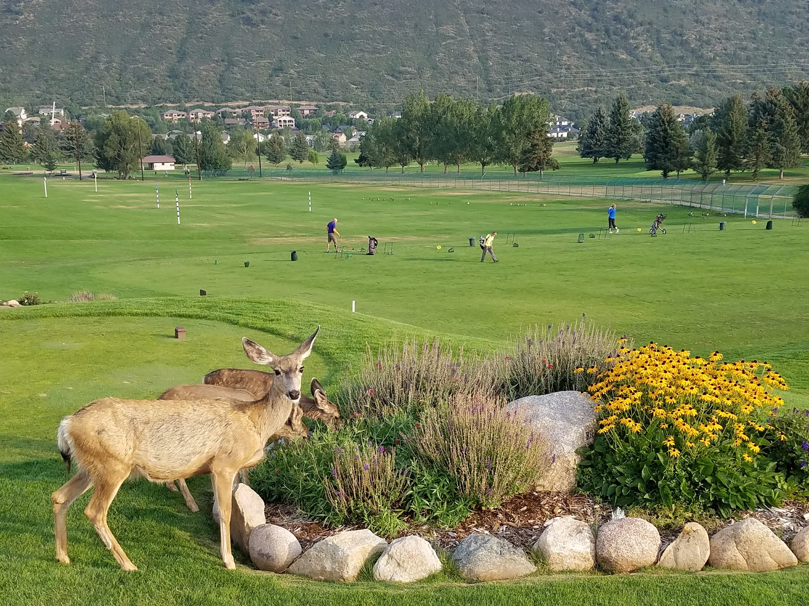 Hillcrest Golf Club - Golf Course
