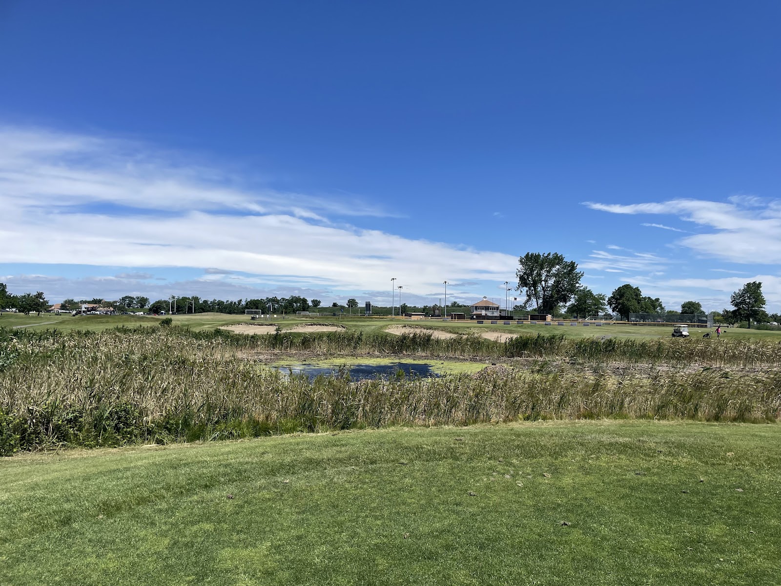 Short Beach Golf Course - Golf Course