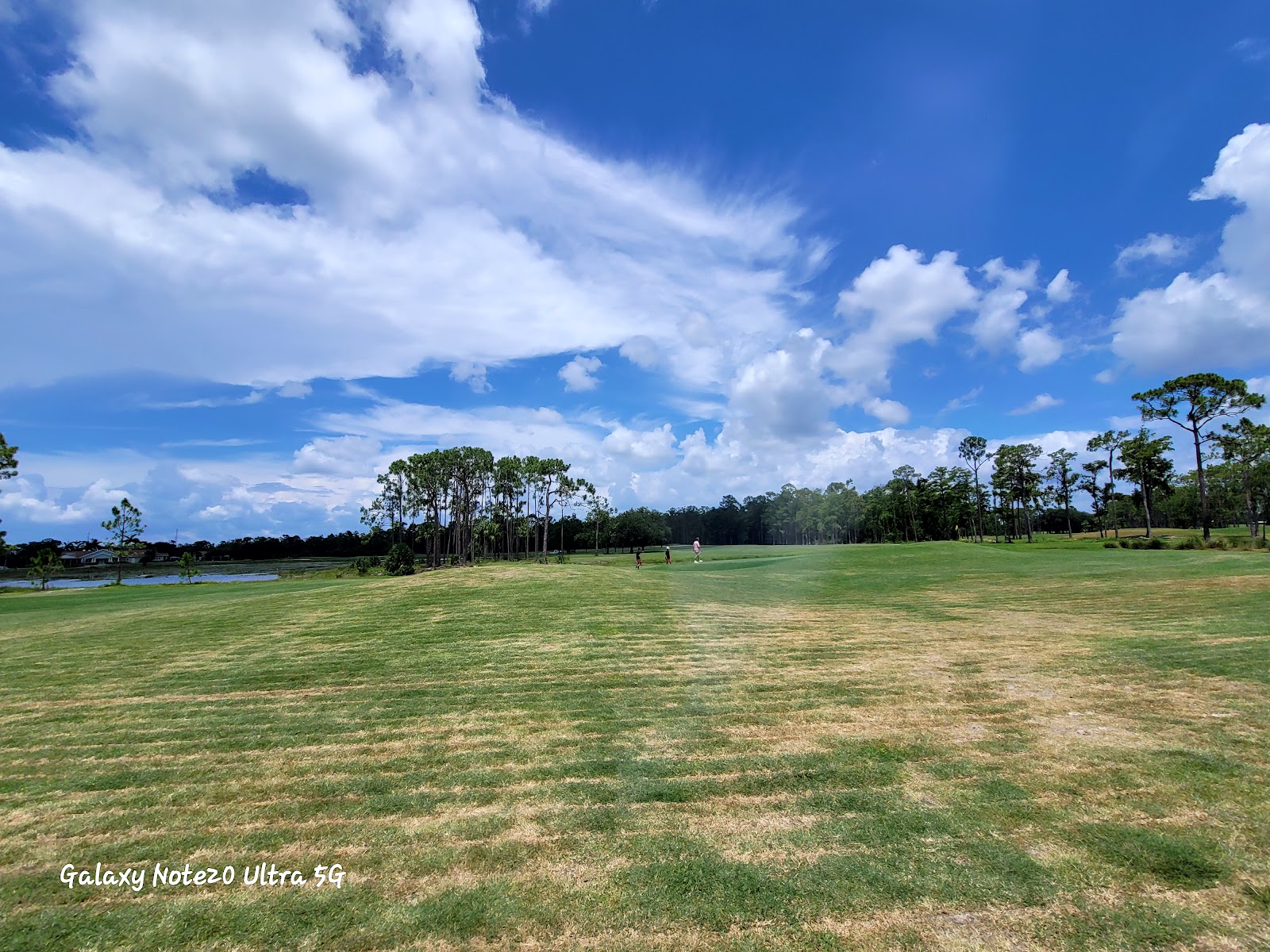 Eastwood Golf Course - Golf Course