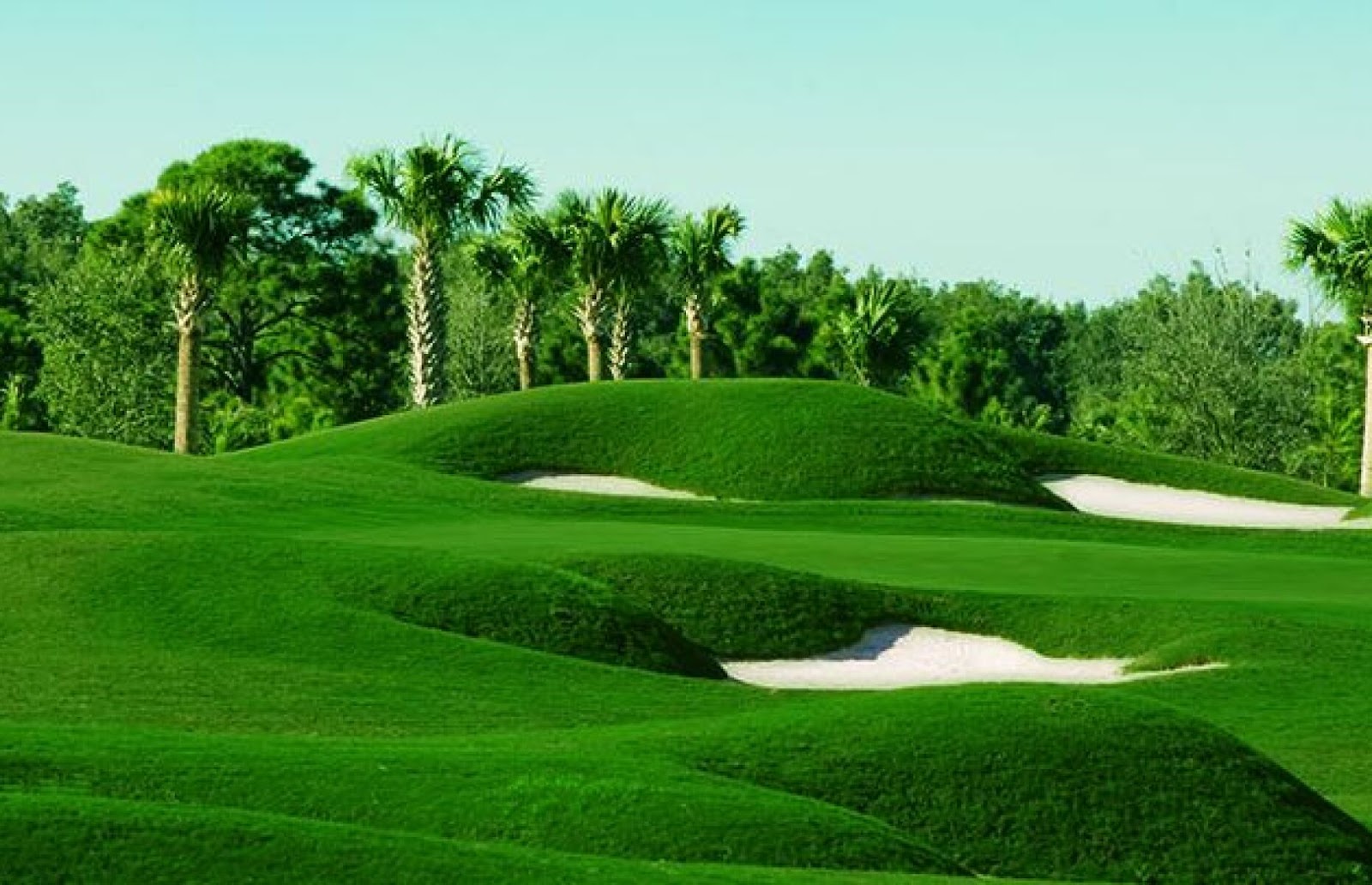 Sarasota National Golf Course - Golf Course
