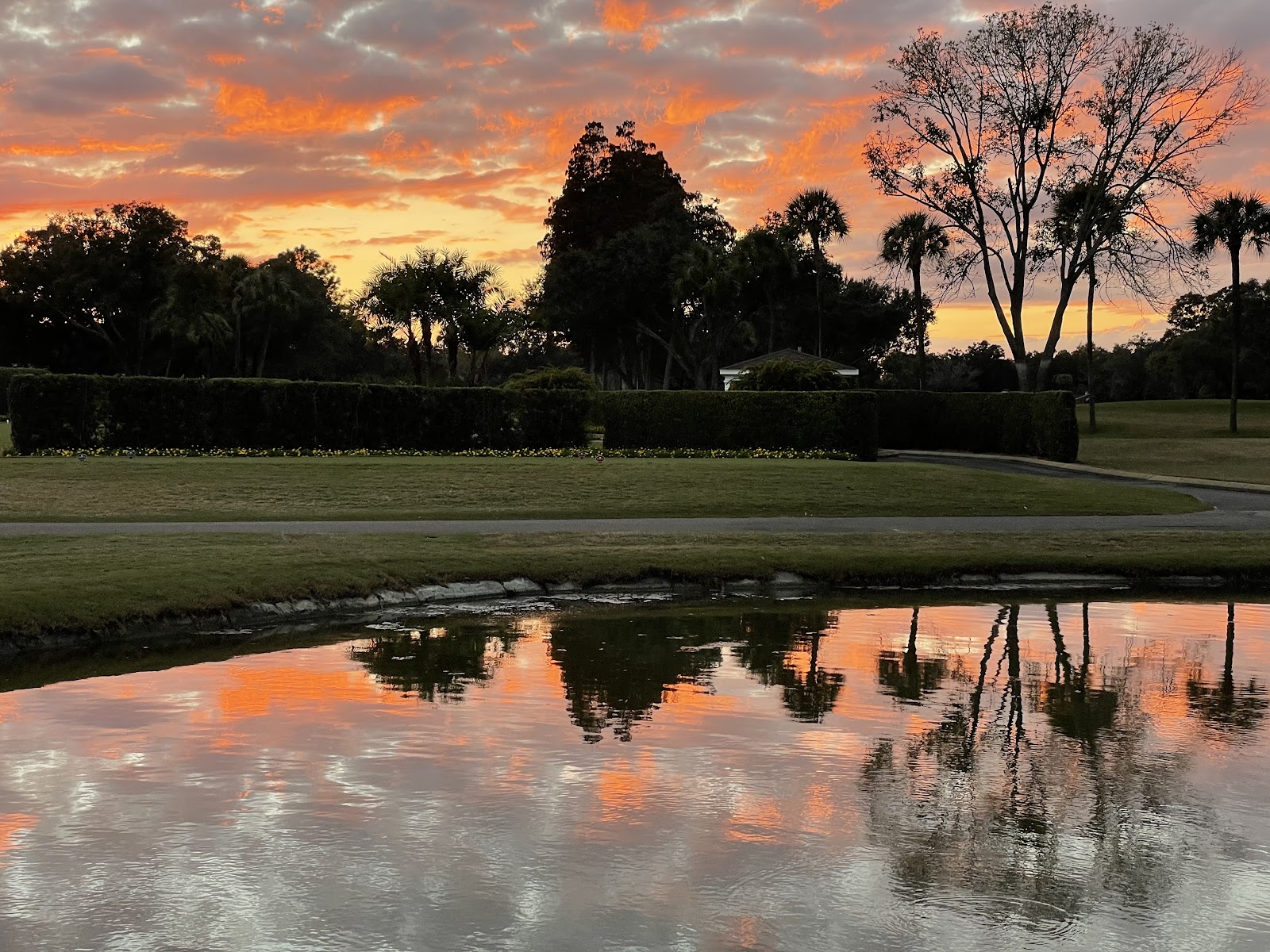 Palma Ceia Golf & Country Club - Golf Course