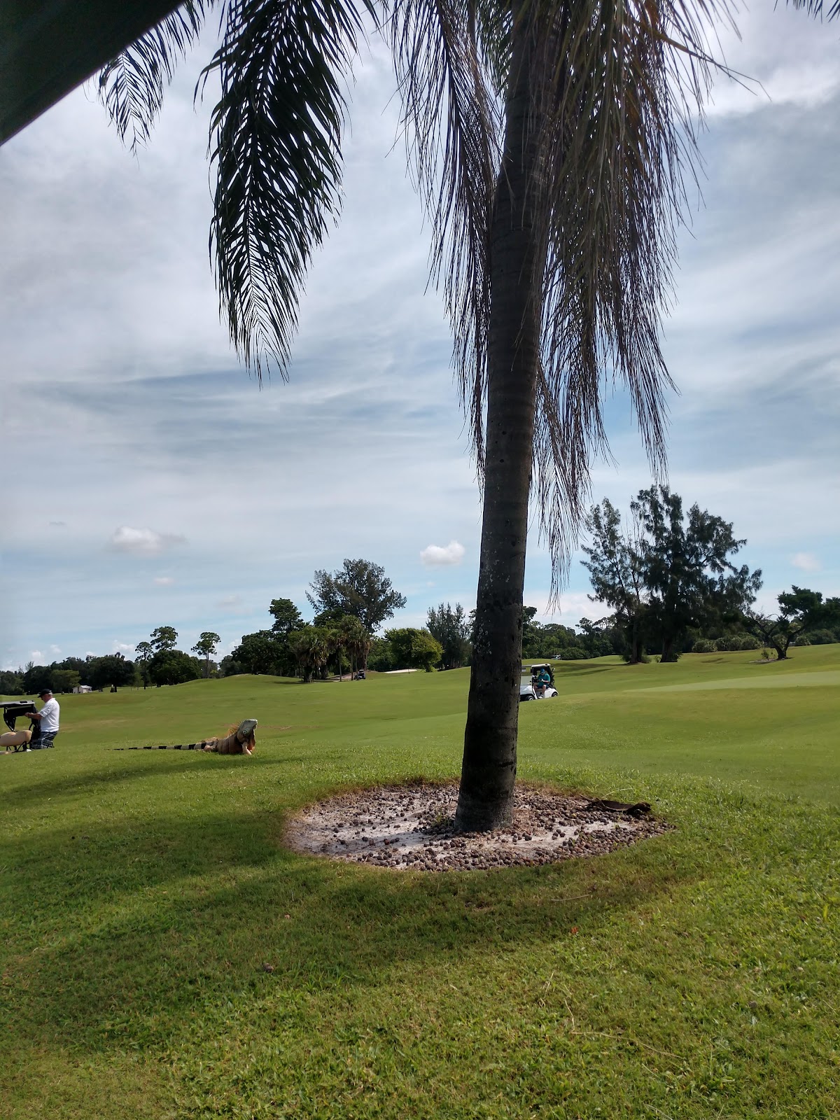Links At Boynton Beach Golf - Golf Course