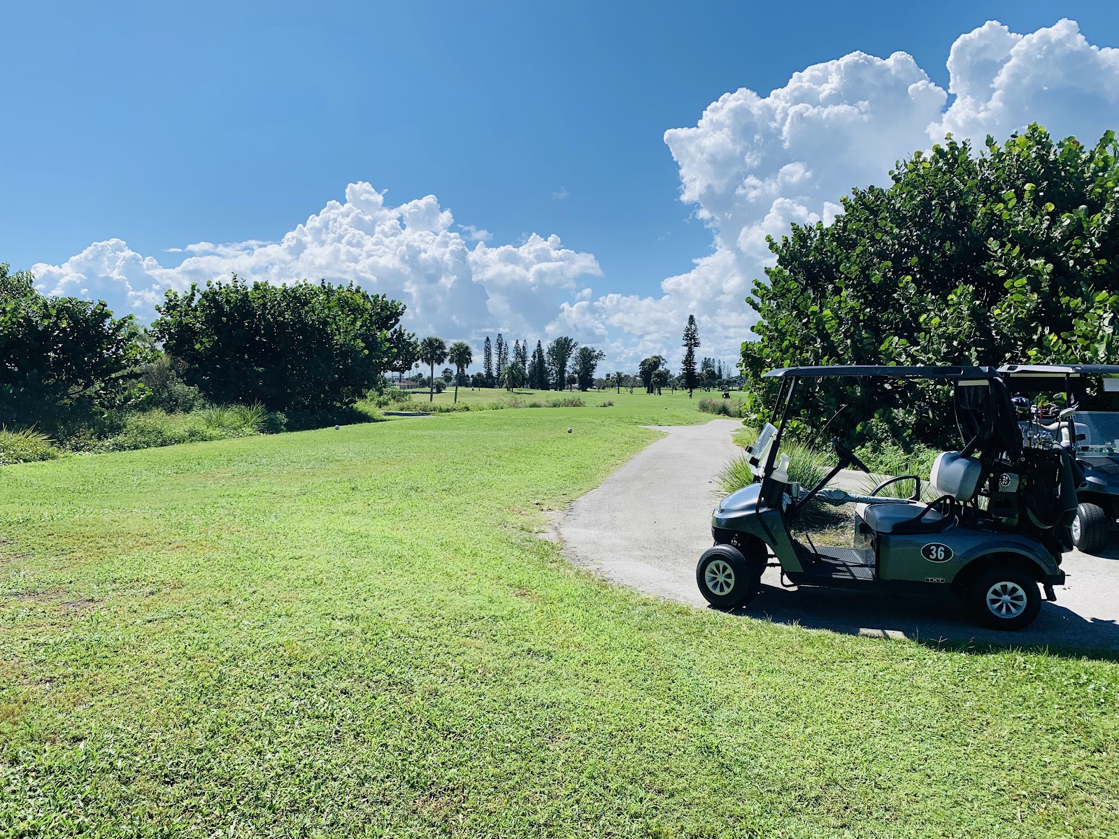 Manatee Cove Golf Course