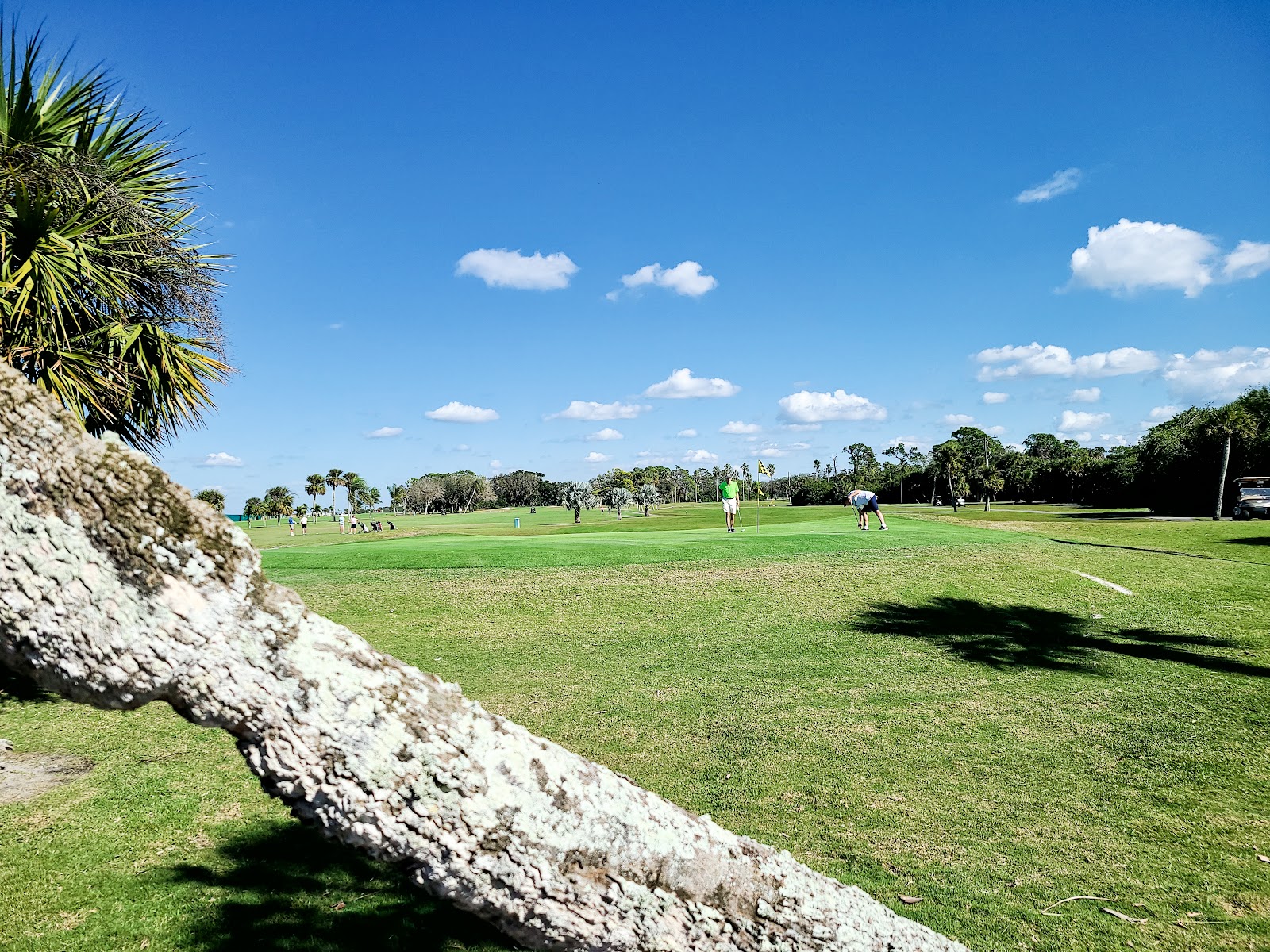 Lake Venice Golf Club - Golf Course