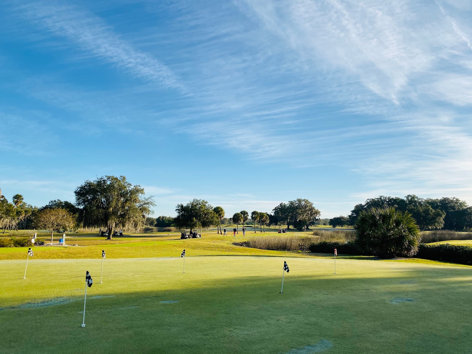 Bobby Jones Golf Club - Golf Course