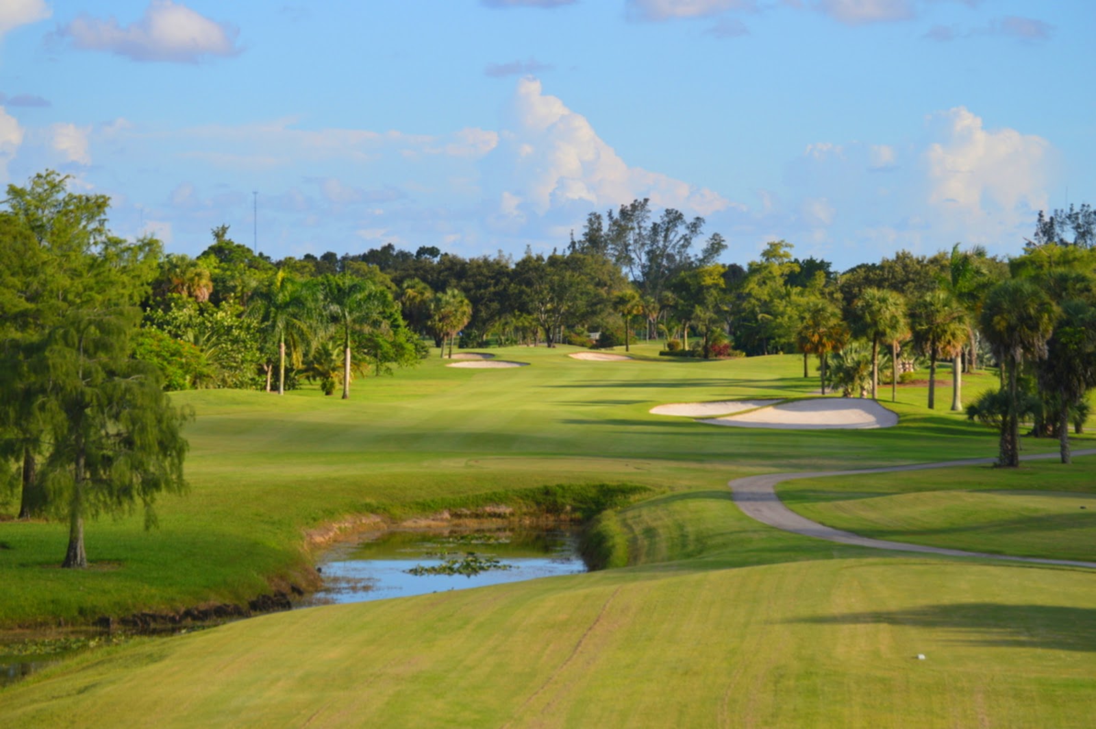Village Golf Club - Golf Course