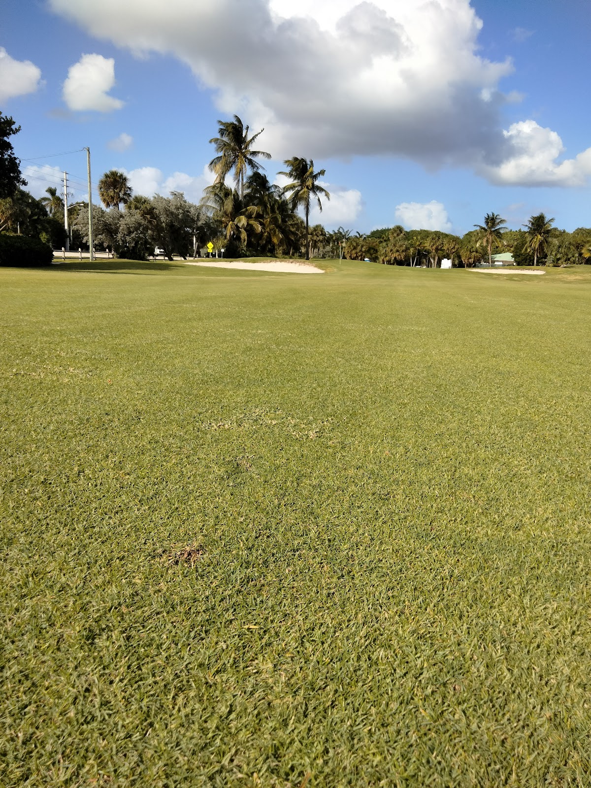 Red Reef Park Executive Golf Course - Golf Course