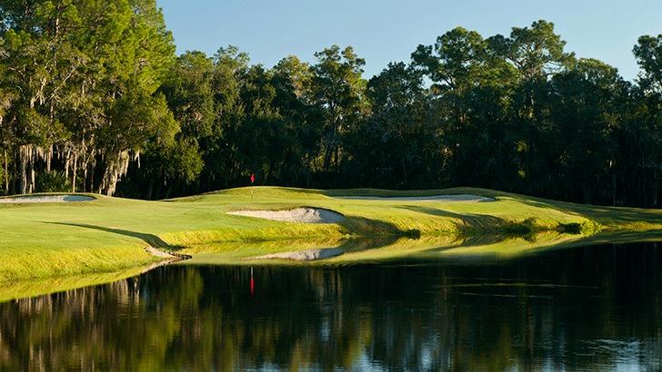 Ardea Country Club