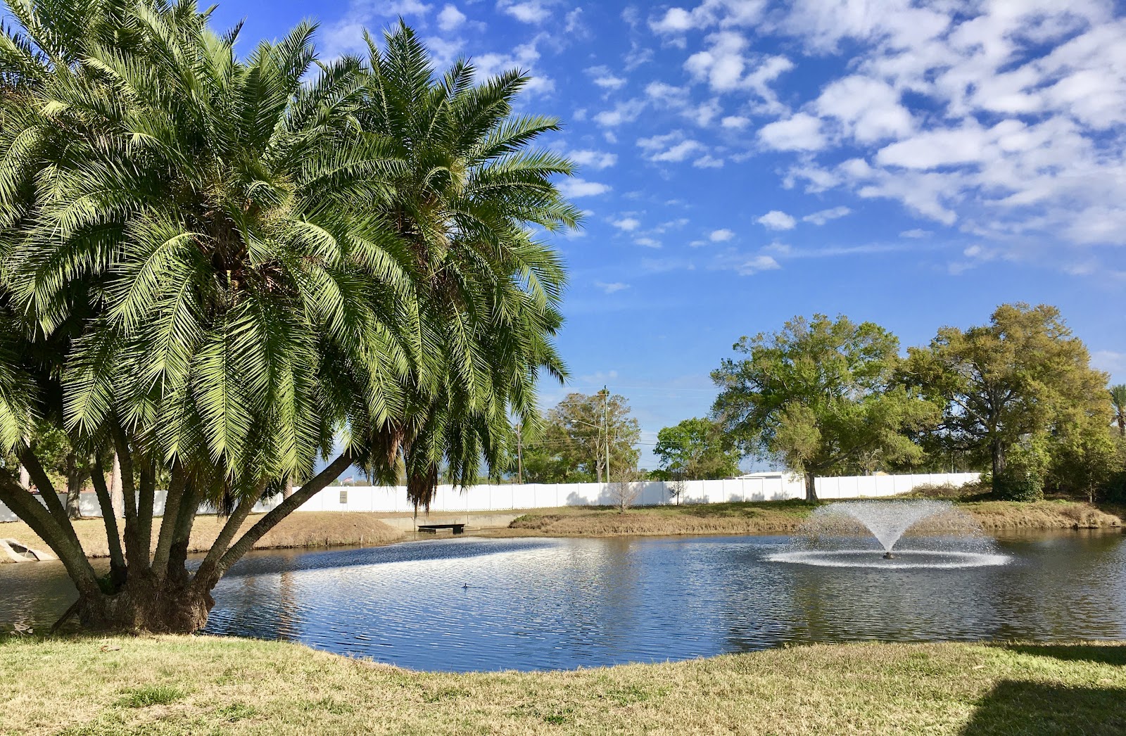Palm Hill Country Club