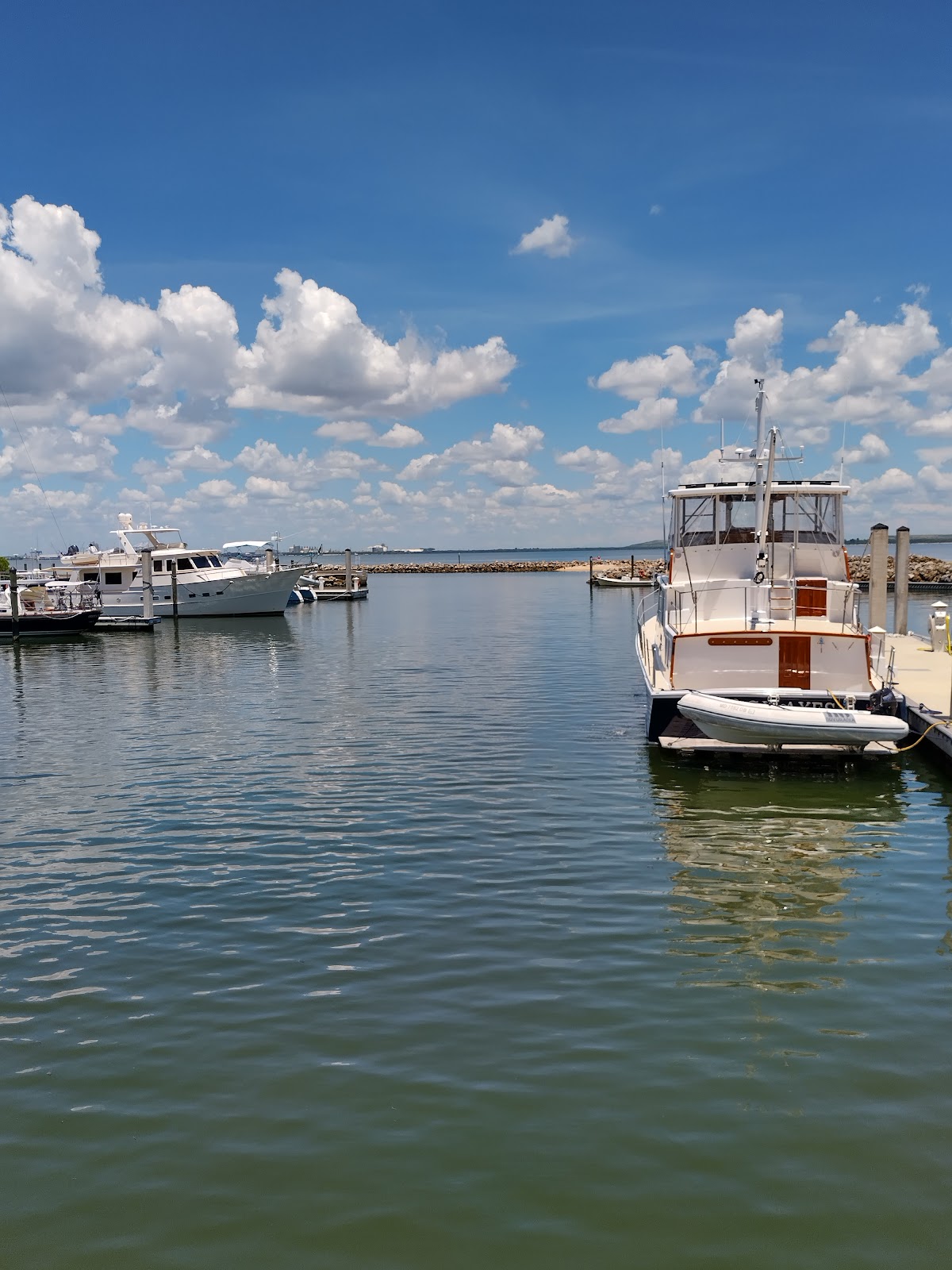 Tampa Yacht & Country Club - Golf Course