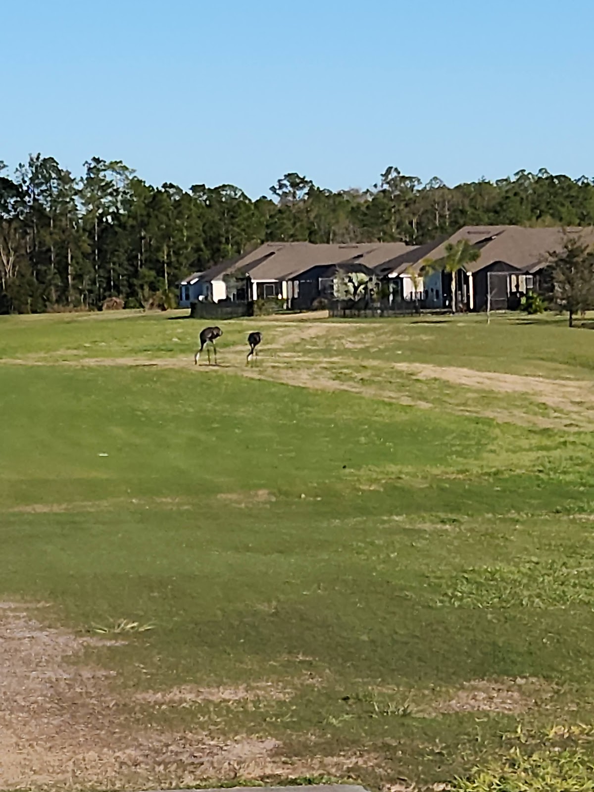 Grand Reserve Golf Club - Golf Course