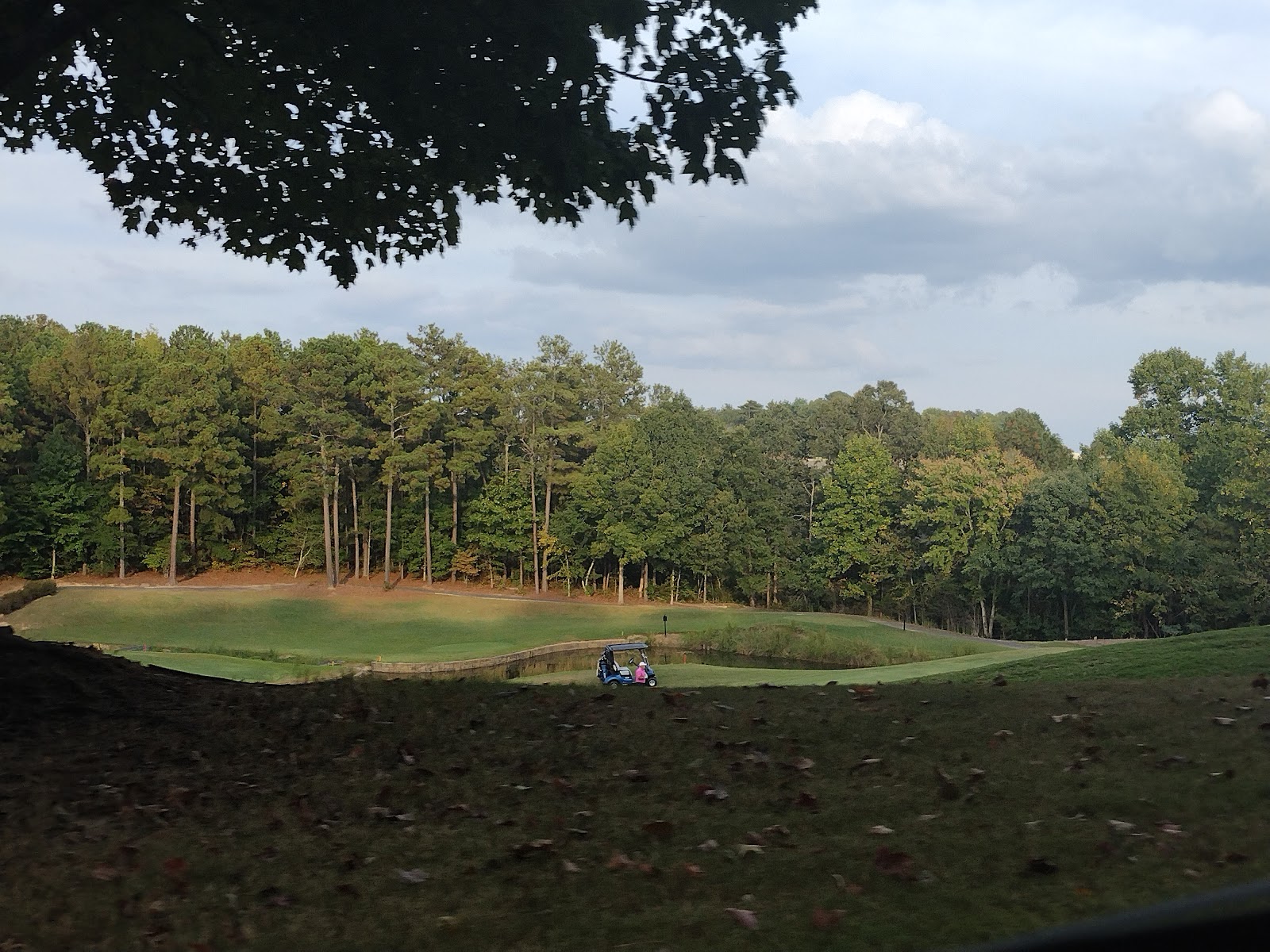 Hamilton Mill Golf Club - Golf Course