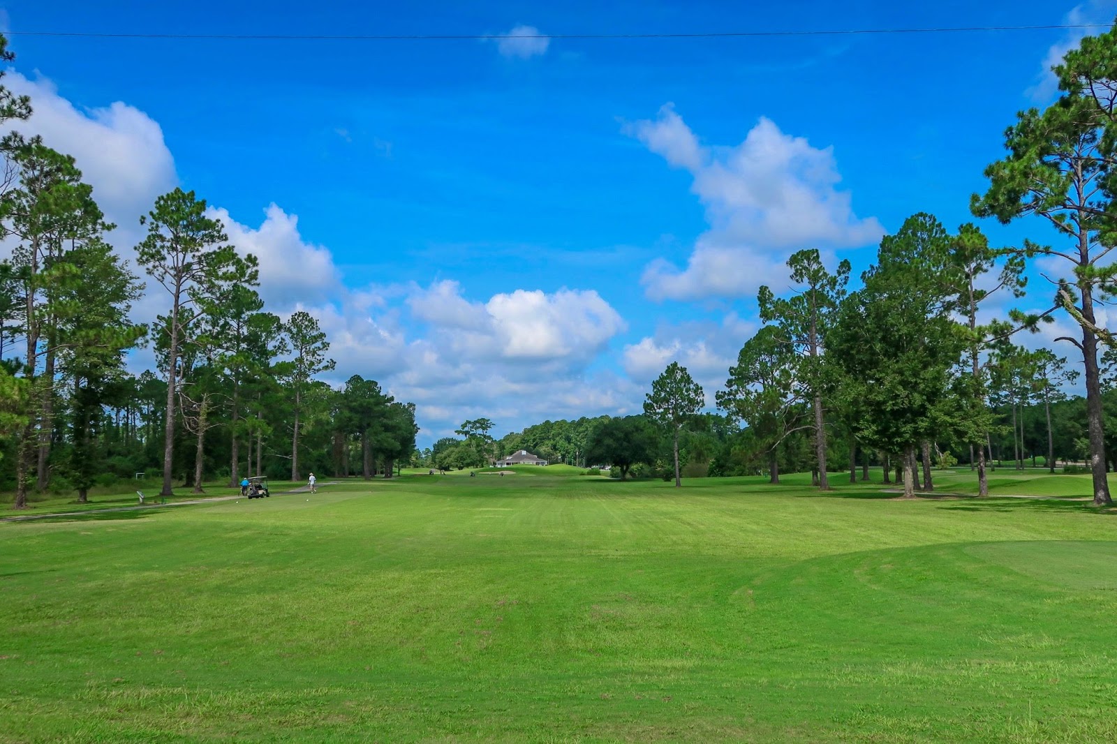 Flint River Municipal Golf Course - Golf Course