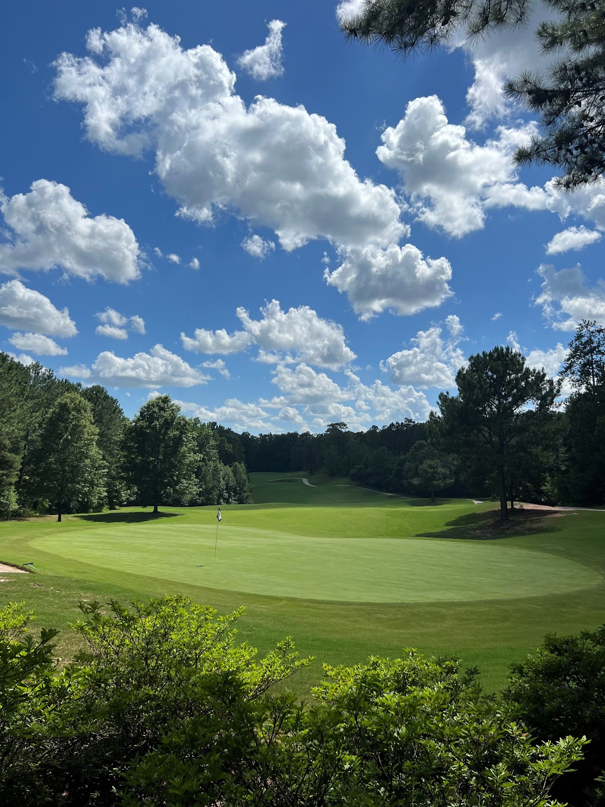 Sun City Peachtree Golf Club - Golf Course