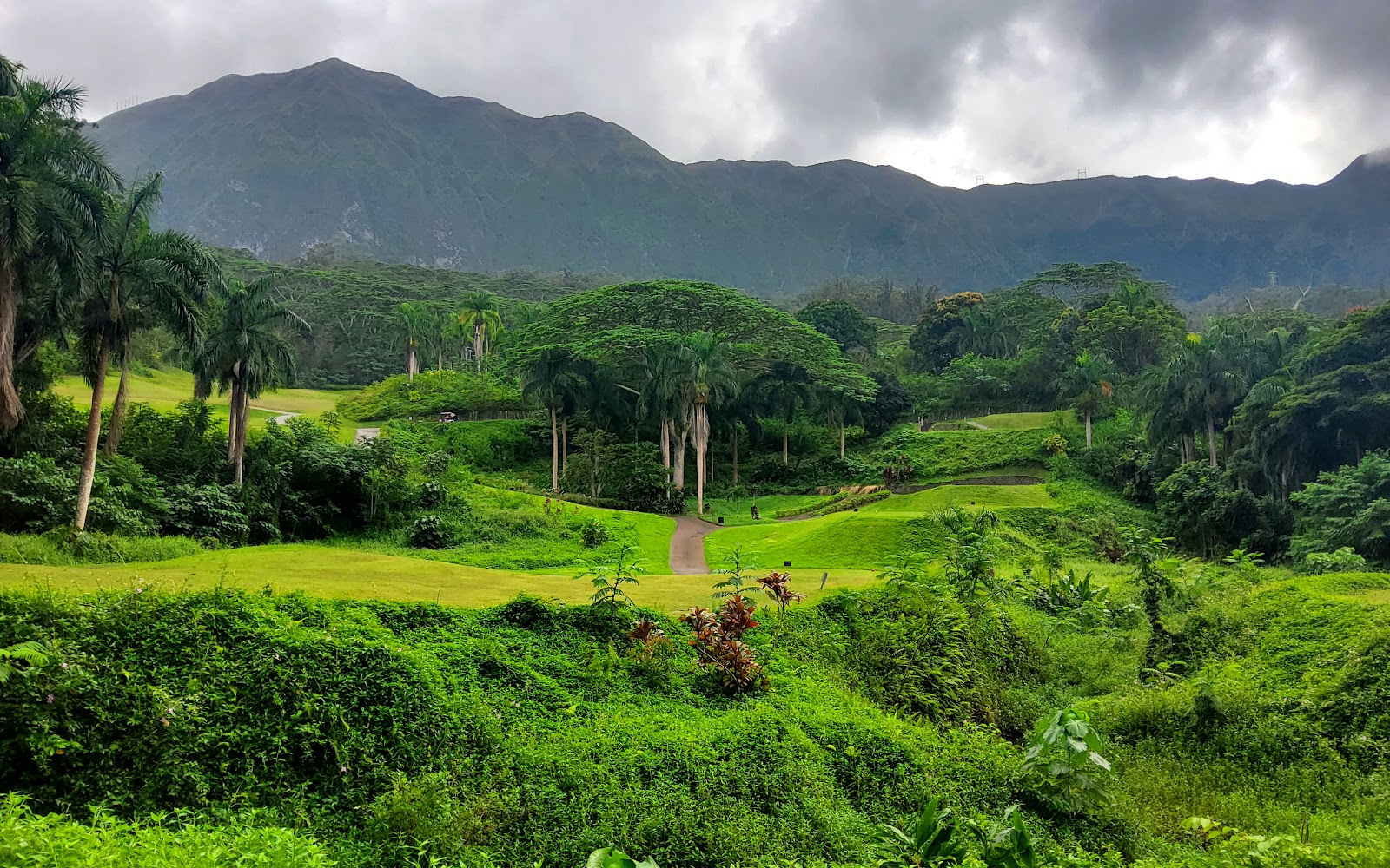 Royal Hawaiian Golf Club