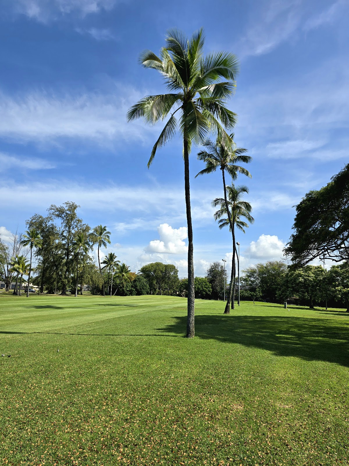 Ke'alohi Golf Course - Golf Course