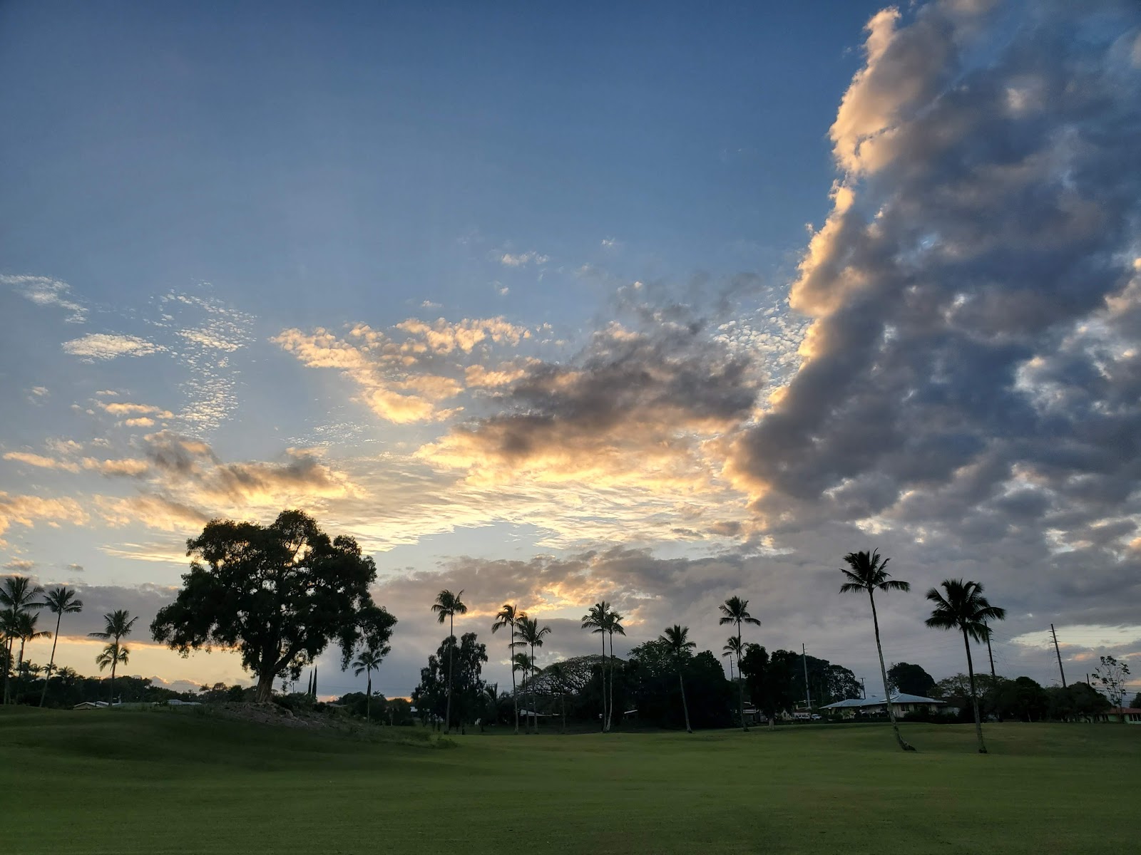 Hilo Municipal Golf Course - Golf Course