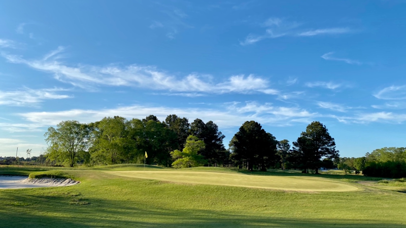 Blueberry Plantation Golf Course - Golf Course