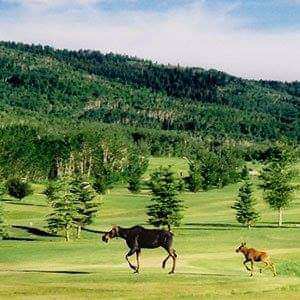 Targhee Village Golf Course