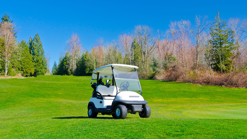 Trout Lake Golf & Country Club - Golf Course