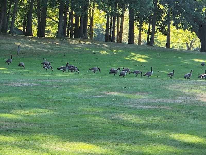Maple Ridge Golf Course