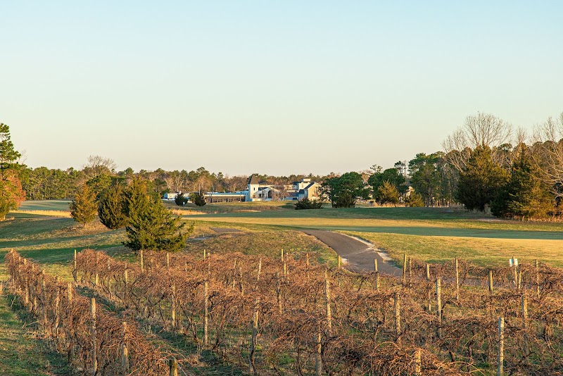 Vineyard National at Renault - Golf Course