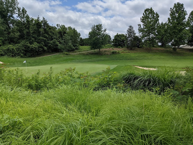 Belterra Golf Club - Golf Course