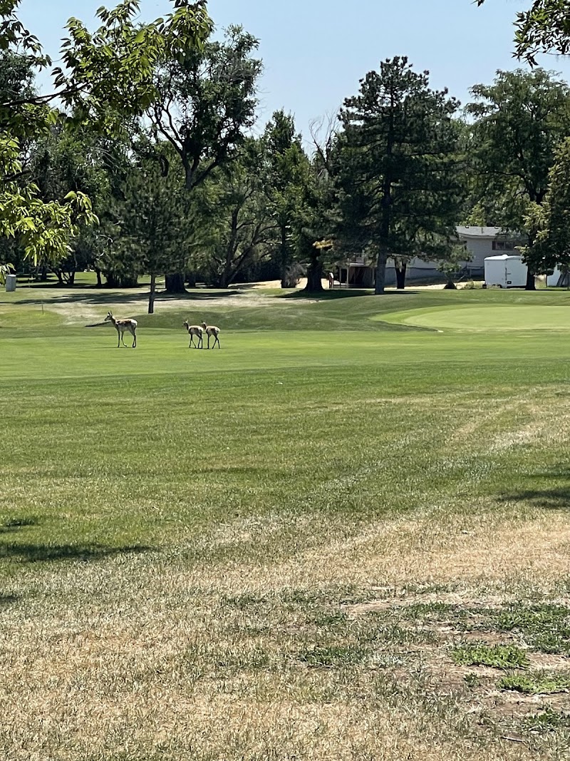 Lake Hills Golf Course - Golf Course