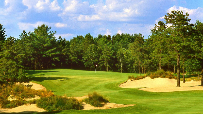 The International Golf Club