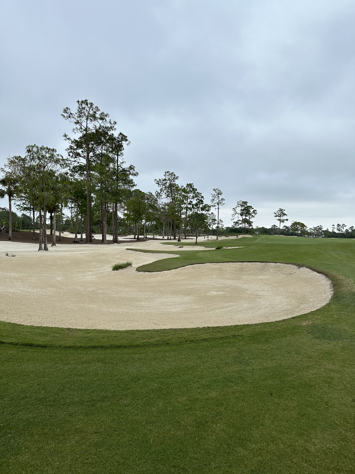 Calusa Pines Golf Club