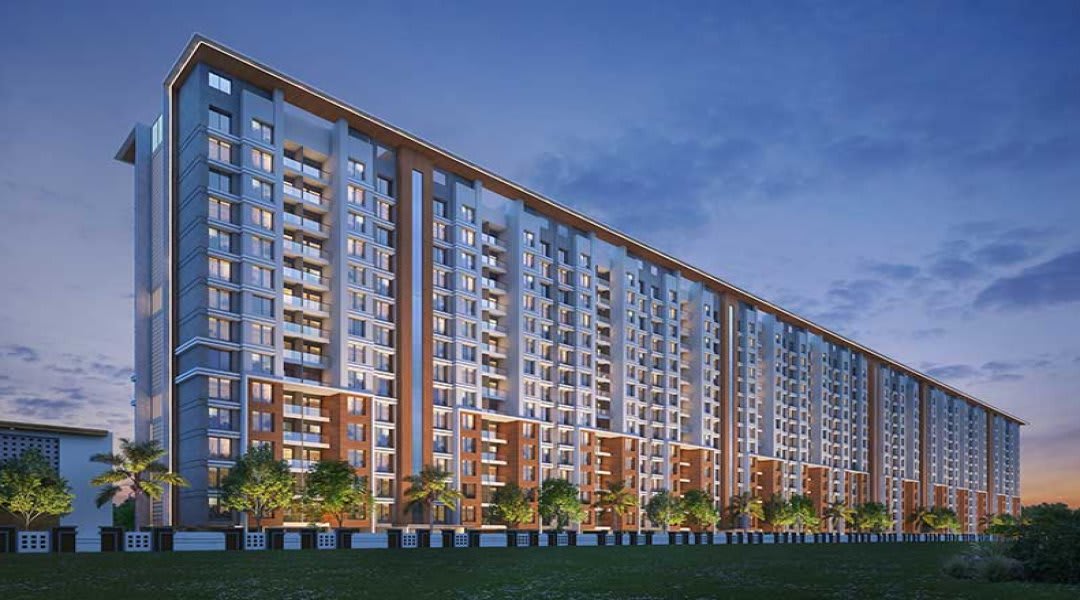 Excellaa Platina Collection