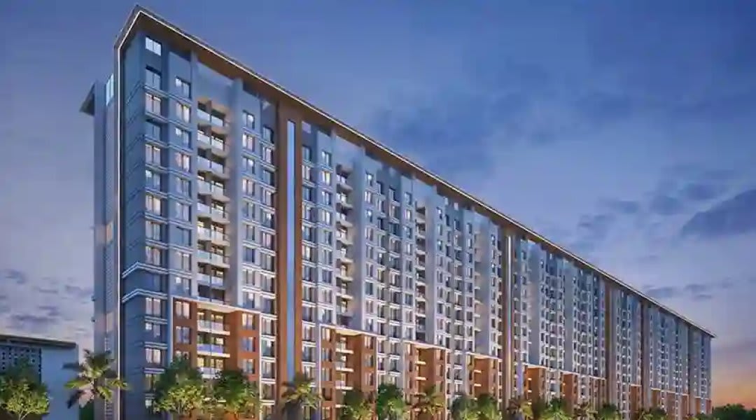 Excellaa Platina Collection