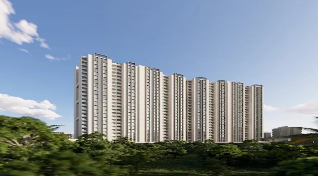 Lohia Jain Malpani 209