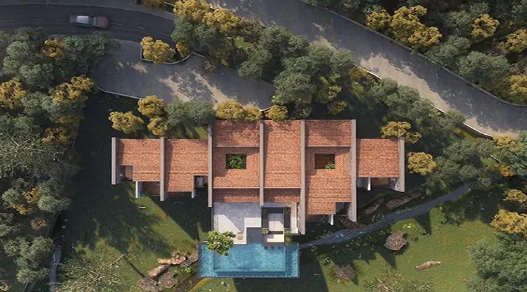 Whispers of the Wild