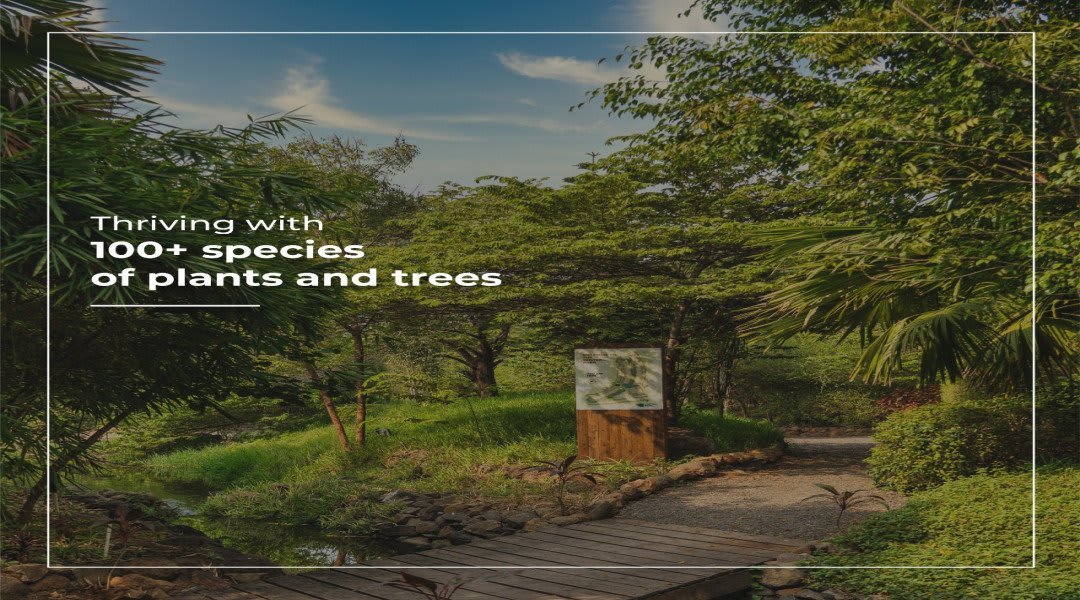 Panchshil YOO Villas