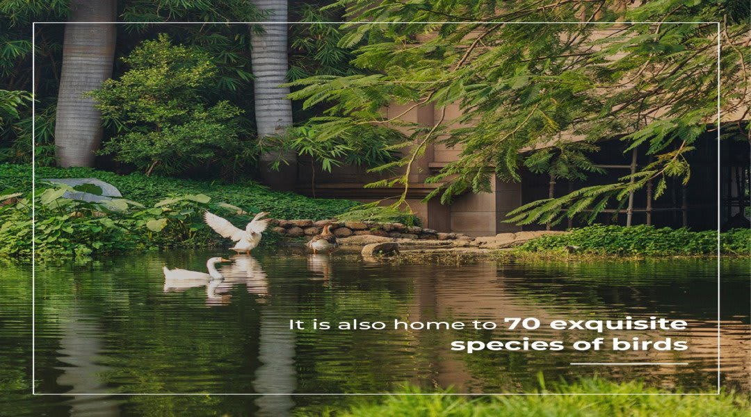 Panchshil YOO Villas