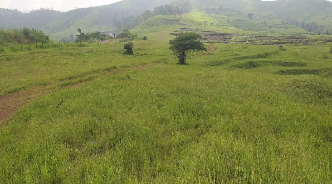 Plot for Sale in Chandkhed, Pune — Labhi Farm