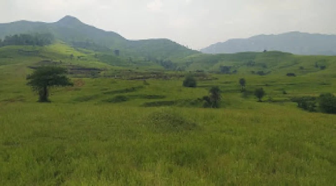Plot for Sale in Chandkhed, Pune — Labhi Farm