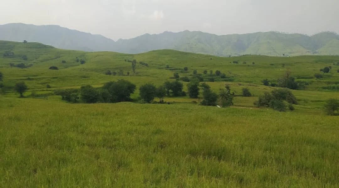 Plot for Sale in Chandkhed, Pune — Labhi Farm