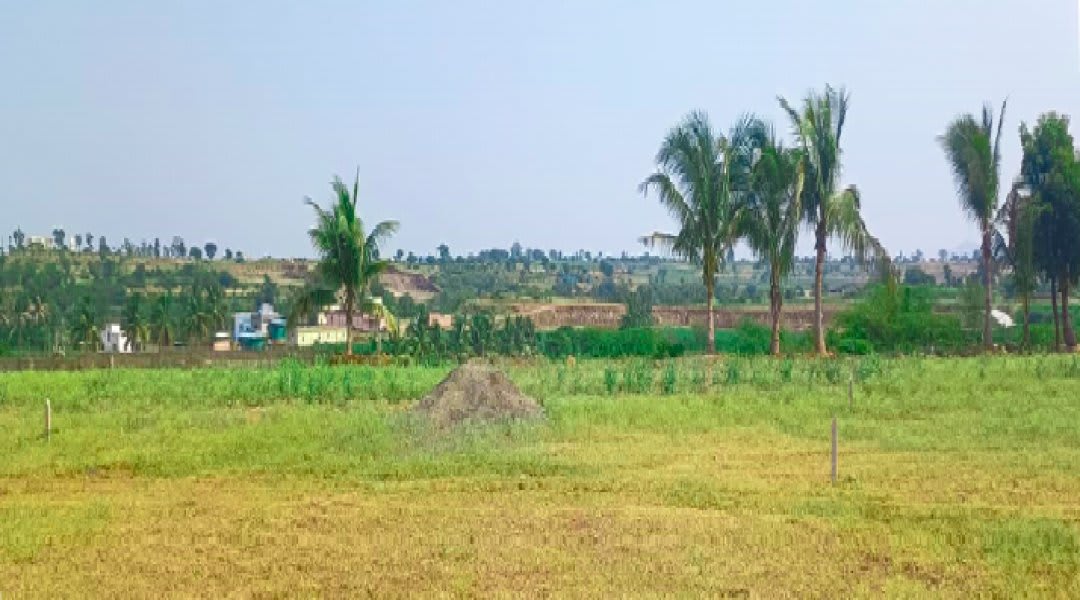 Plot for Sale in Urali Kanchan, Pune — Shaantivan