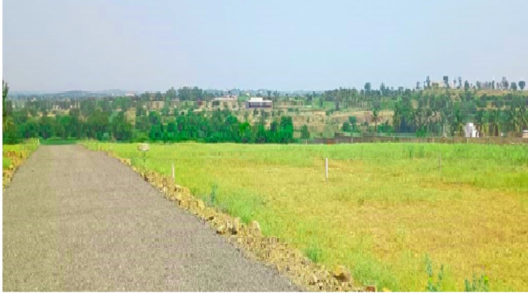 Plot for Sale in Urali Kanchan, Pune — Shaantivan
